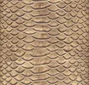 Bronze Dune