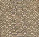 Gilded Sesame