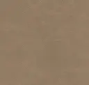 Sandshell