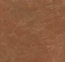 Cinnamon