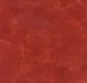 Orange Rust