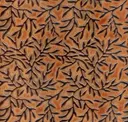 Fire Coral