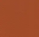Rust