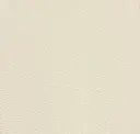 Parchment