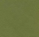 Jade Green