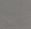 Ghost Gray