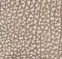 Sesame