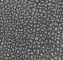 Iron