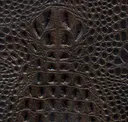 Cocoa