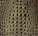 Egyptian Sand