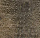 Otter Bronze