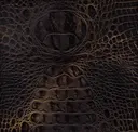 Black Bronze