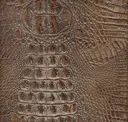 Pewter Bronze