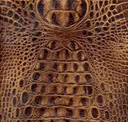 Saddle