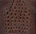 Medium Brown