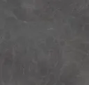 Iron