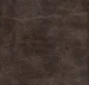 Dutch Cocoa