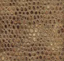 Golden Sepia