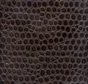 Chocolate Bronze