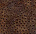 Mocha
