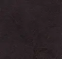 Ebony