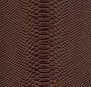 Medium Brown