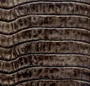 Pine Bark