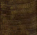Antique Ocre