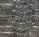 Antique Iron