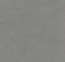 Flint Gray