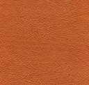 Burnt Orange