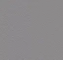 Pelican