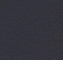 Dark Denim