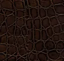 Chocolate Bronze
