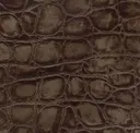 Tropic Boa