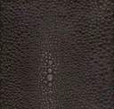 Black Olive