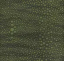 Elm Green