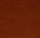 Burnt Orange