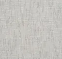 Silver Birch