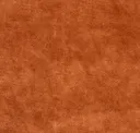 Bronzed