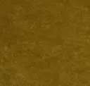 Vine