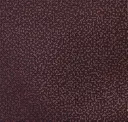 Corten