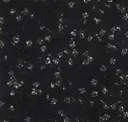 Divine