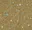 Main