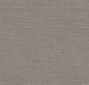 Steel