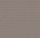 Iron