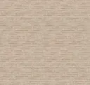 Sycamore