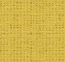Lookbook Lemon