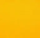 Canary