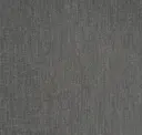 Shadow